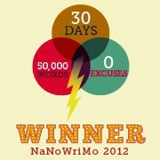 NaNoWriMo winner